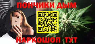 крисы Новозыбков