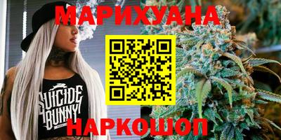 крисы Новозыбков