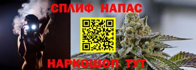 крисы Новозыбков
