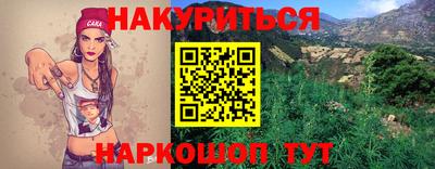 крисы Новозыбков