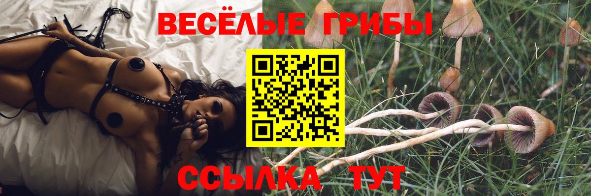 Советский  Галлюциногенные грибы мицелий  Вход с VPN 